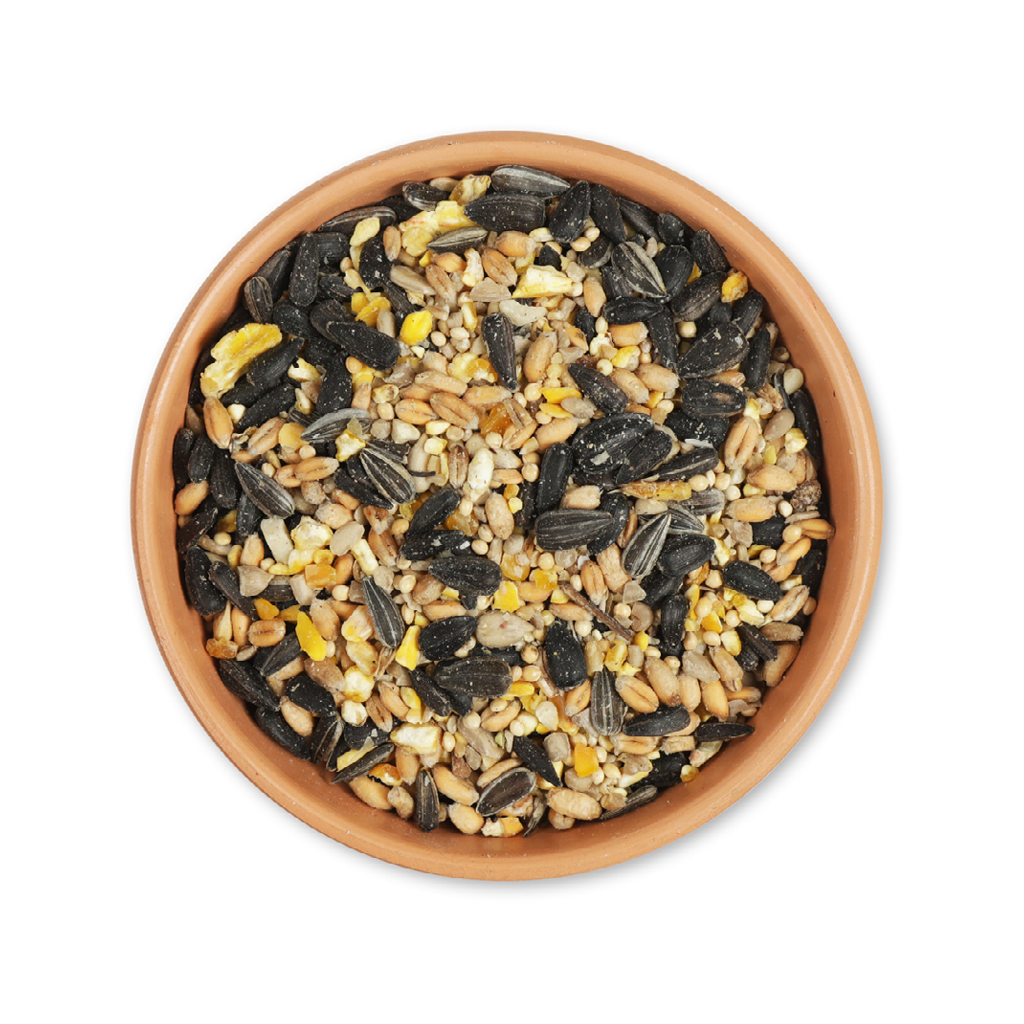 Category_Entries__New_Test__Seeds_1