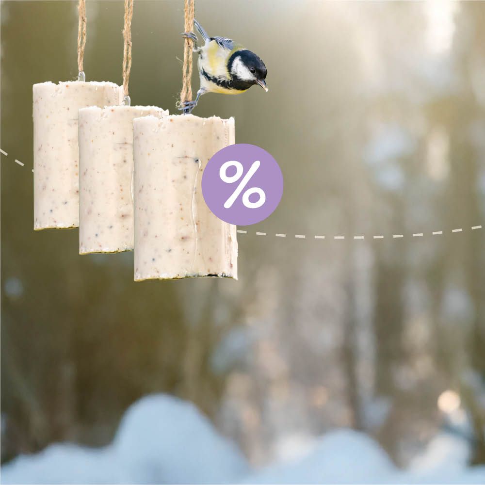 Homepage_Banners_-_Winter