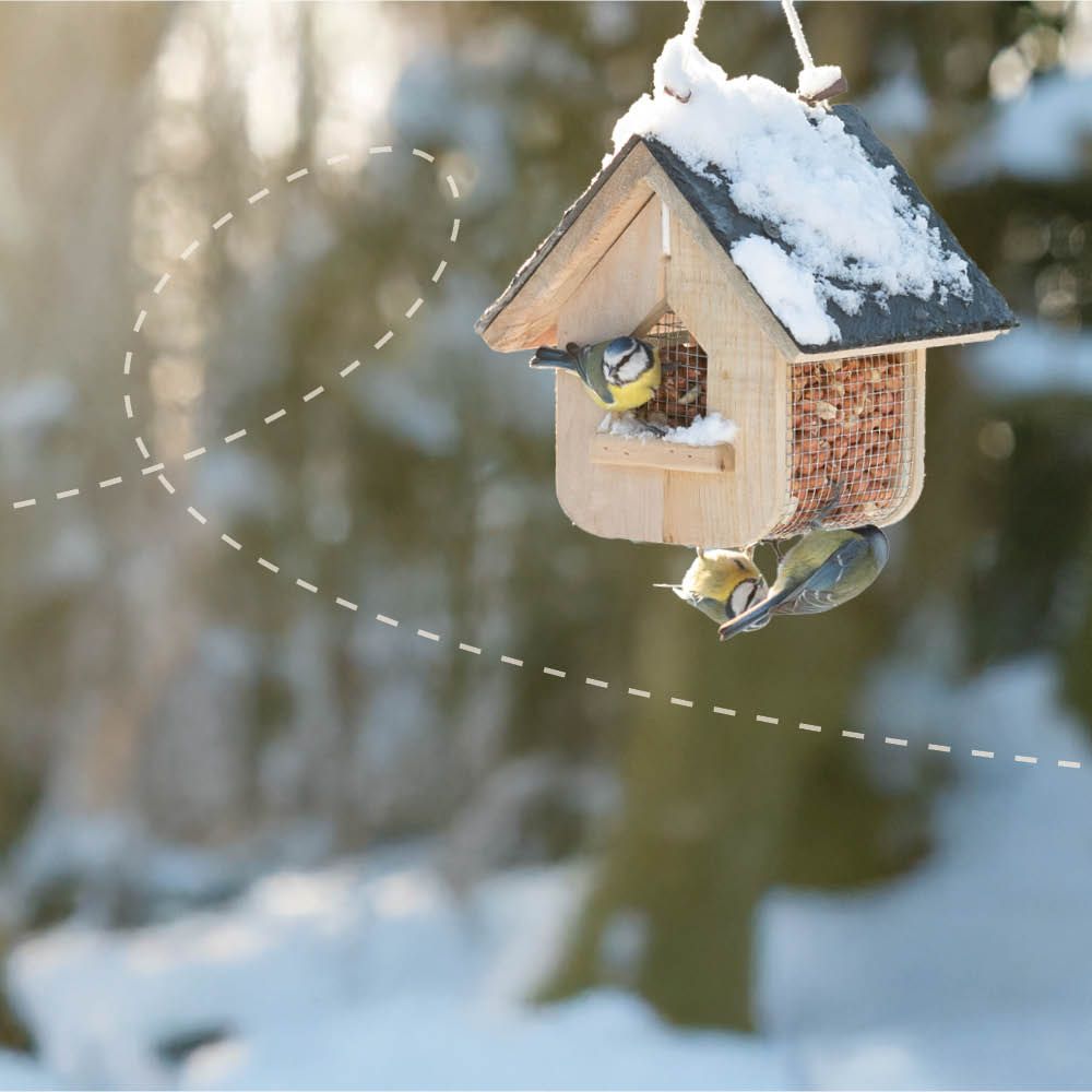 Homepage_Banners_-_Winter2