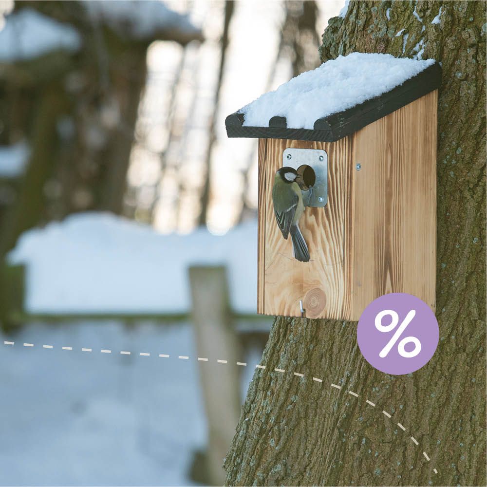 Homepage_Banners_-_Winter3