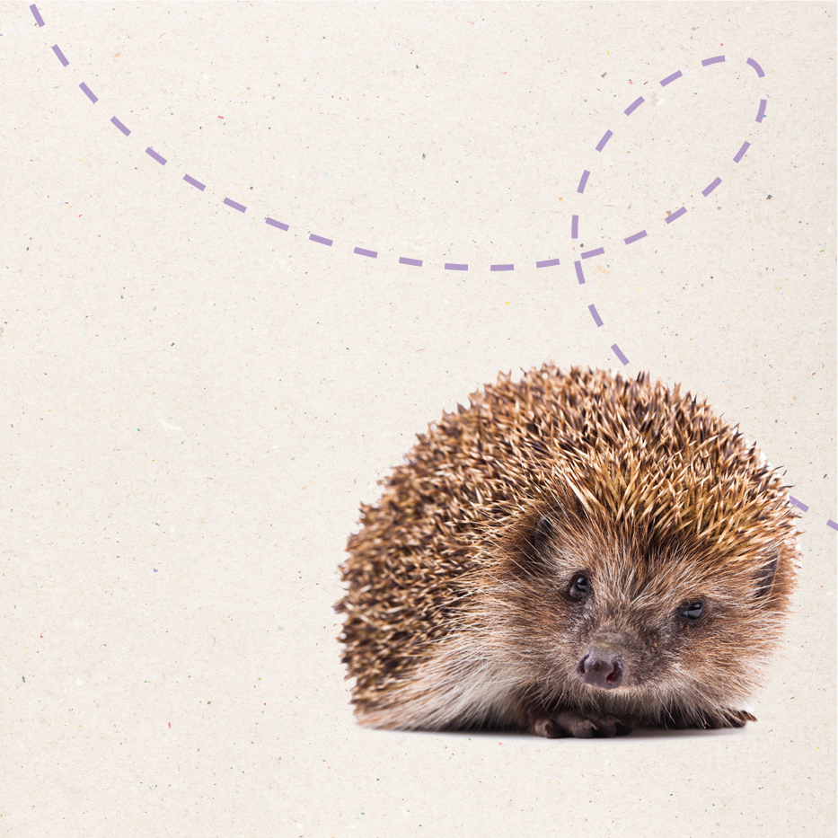 Homepage_Banners_-_v1_animal_banners_6