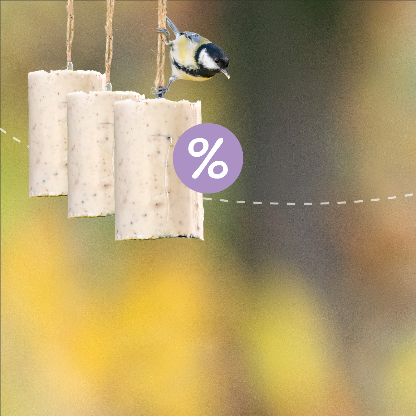 Homepage_Banners_v2_-_1