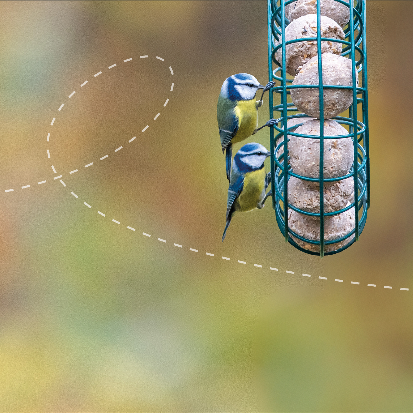 Homepage_Banners_v2_-_2