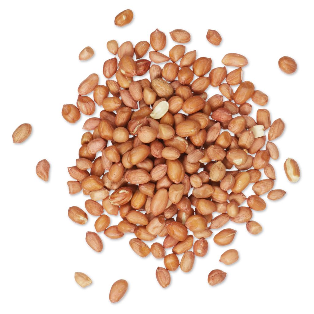 Peanuts for Birds