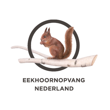 Homepage_Partner_Logo_s17