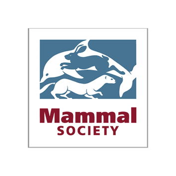 Homepage_Partner_Logo_s3