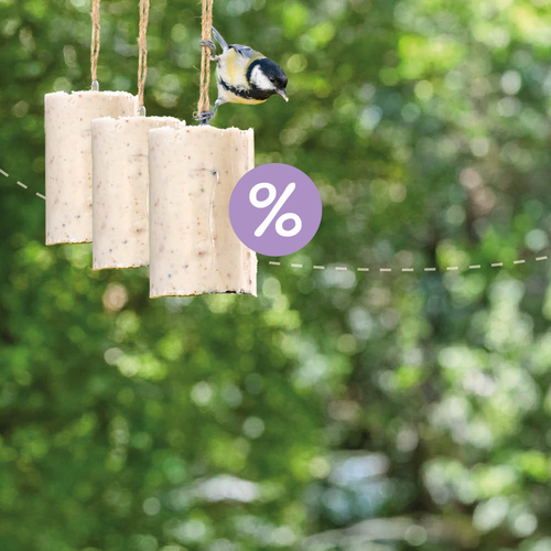 set_1_CD-2196_-_Spring_Pictures_Homepage_set_1.1