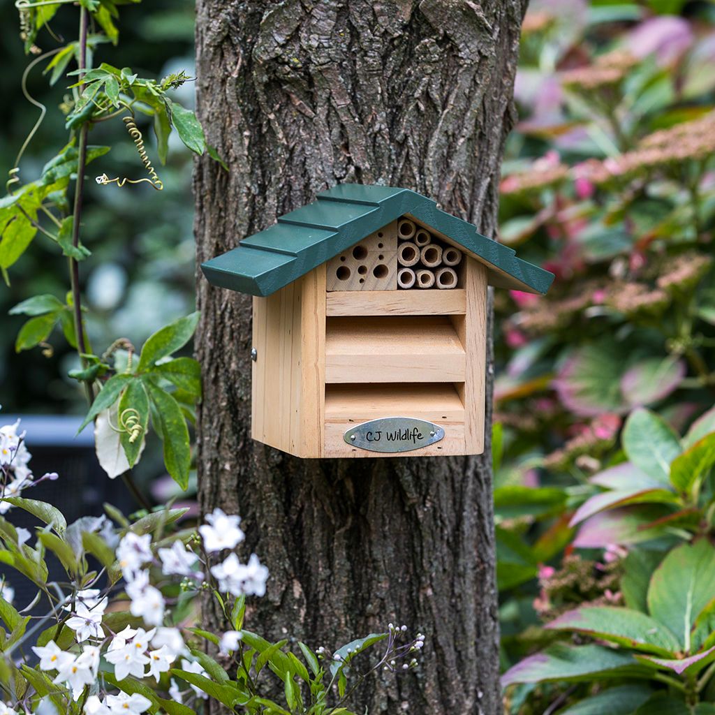 920780119_CJ_Tignes_Alpine_Insect_Hotel_RK_21