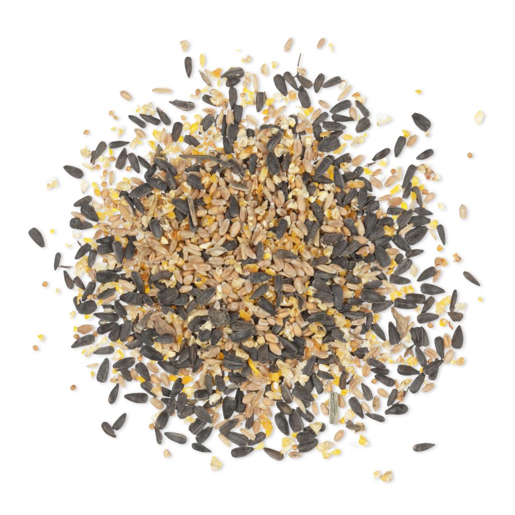 RECIPE_TSN-1_LG_03
