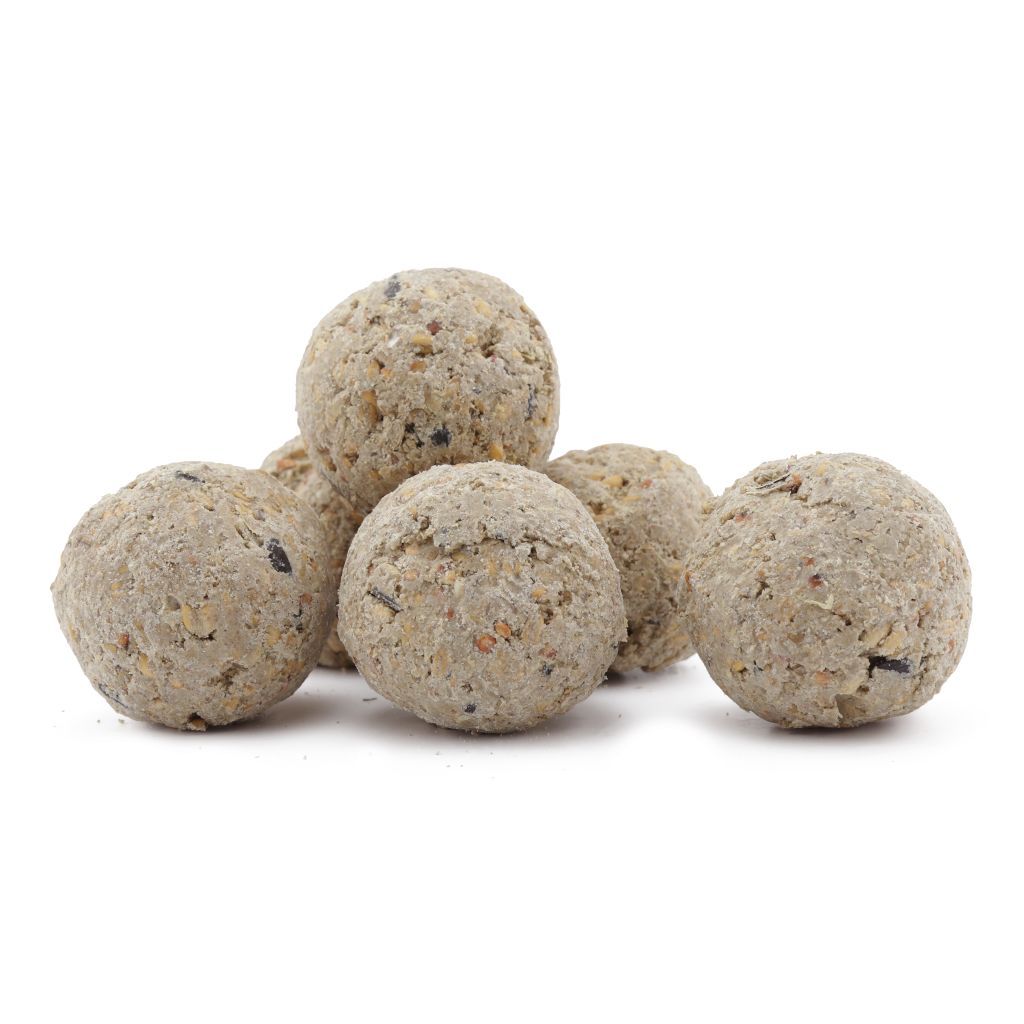 RECIPE_VPG-5_Fat_Balls_For_Wild_Birds_LG_04
