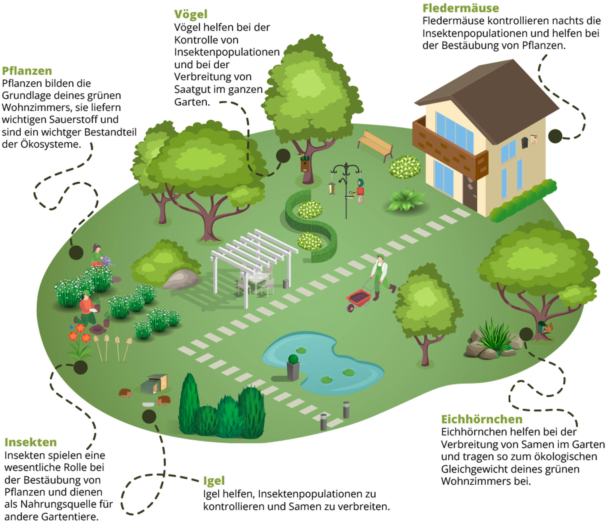 Dein Garten, dein grünes Wohnzimmer - die Info-Grafik zeigt, welche Ecke in deinem Garten für welches Gartentier geeignet ist
