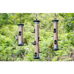 kinderen_in_de_natuur_feeders