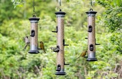 kinderen_in_de_natuur_feeders