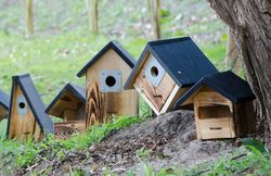 kinderen_in_de_natuur_nestbox