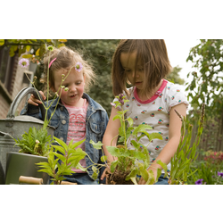 kinderen_in_de_natuur_school