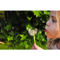 kinderen_in_de_natuur_seizoenen