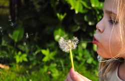 kinderen_in_de_natuur_seizoenen