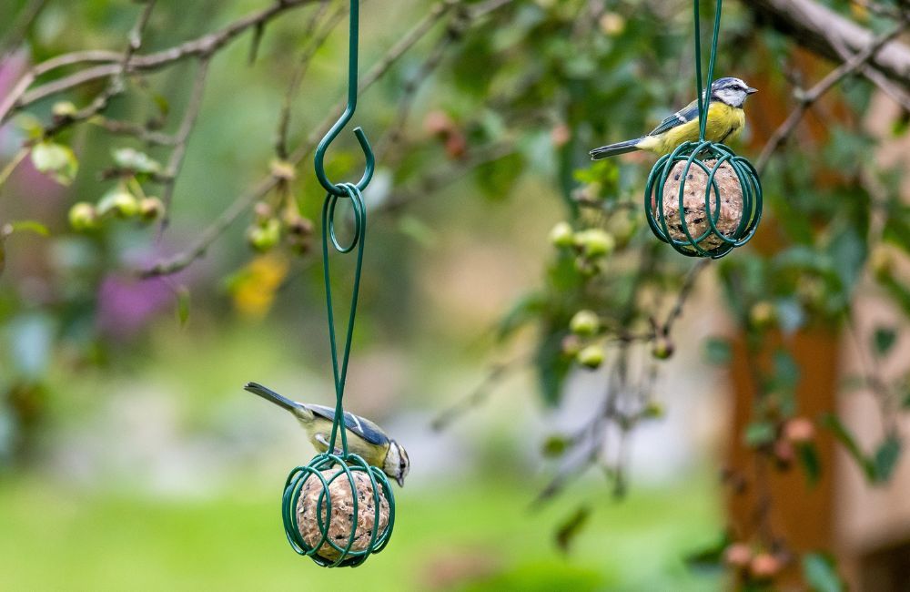 palm_oil_free_fat_balls