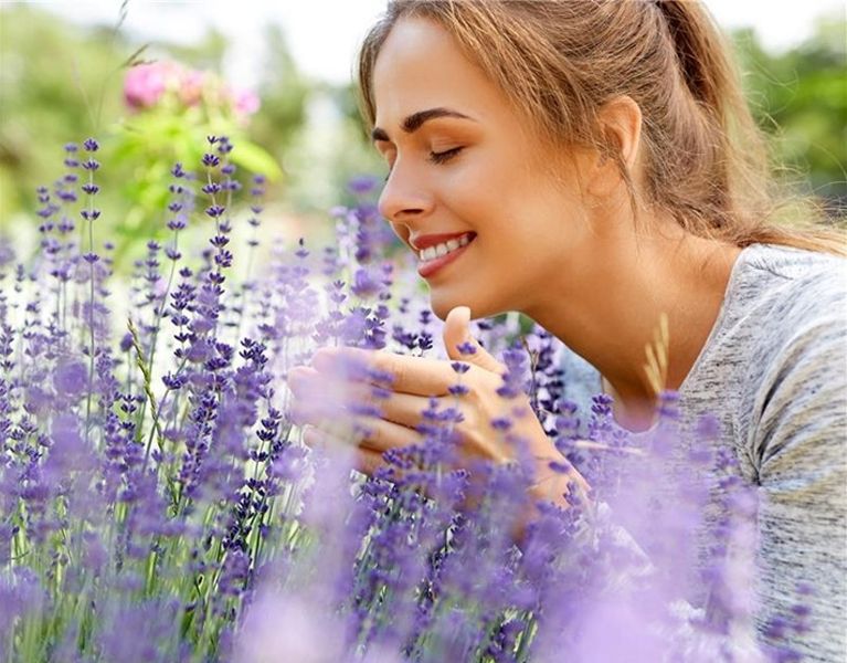 biologische_pflanzen_vivara_mobil