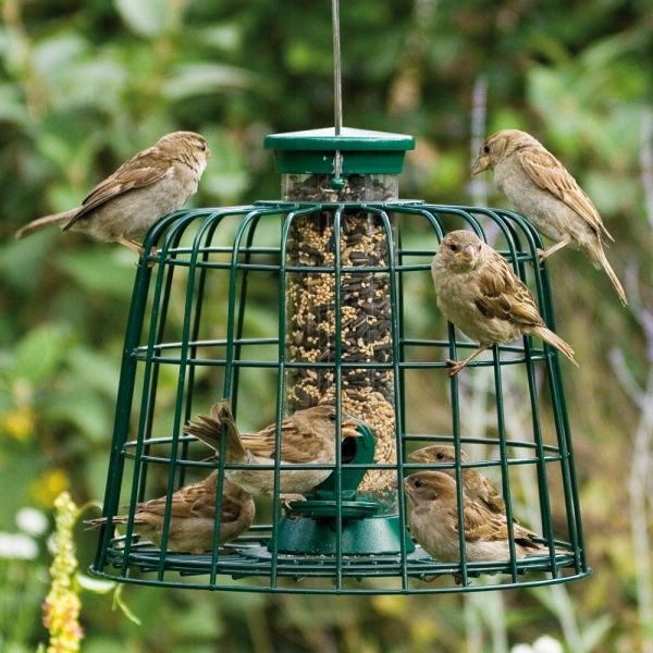 Maak een vogelrestaurant in je tuin
