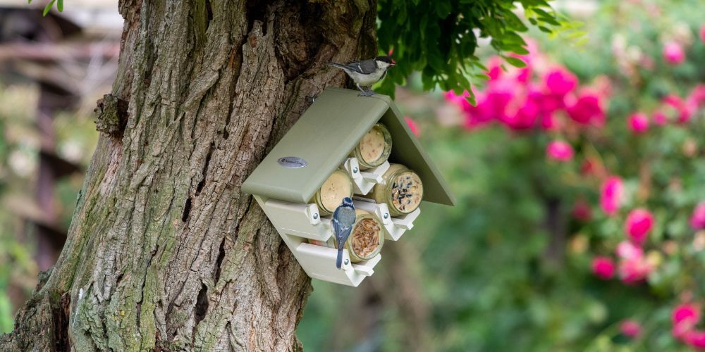 about_our_bird_foods - 1