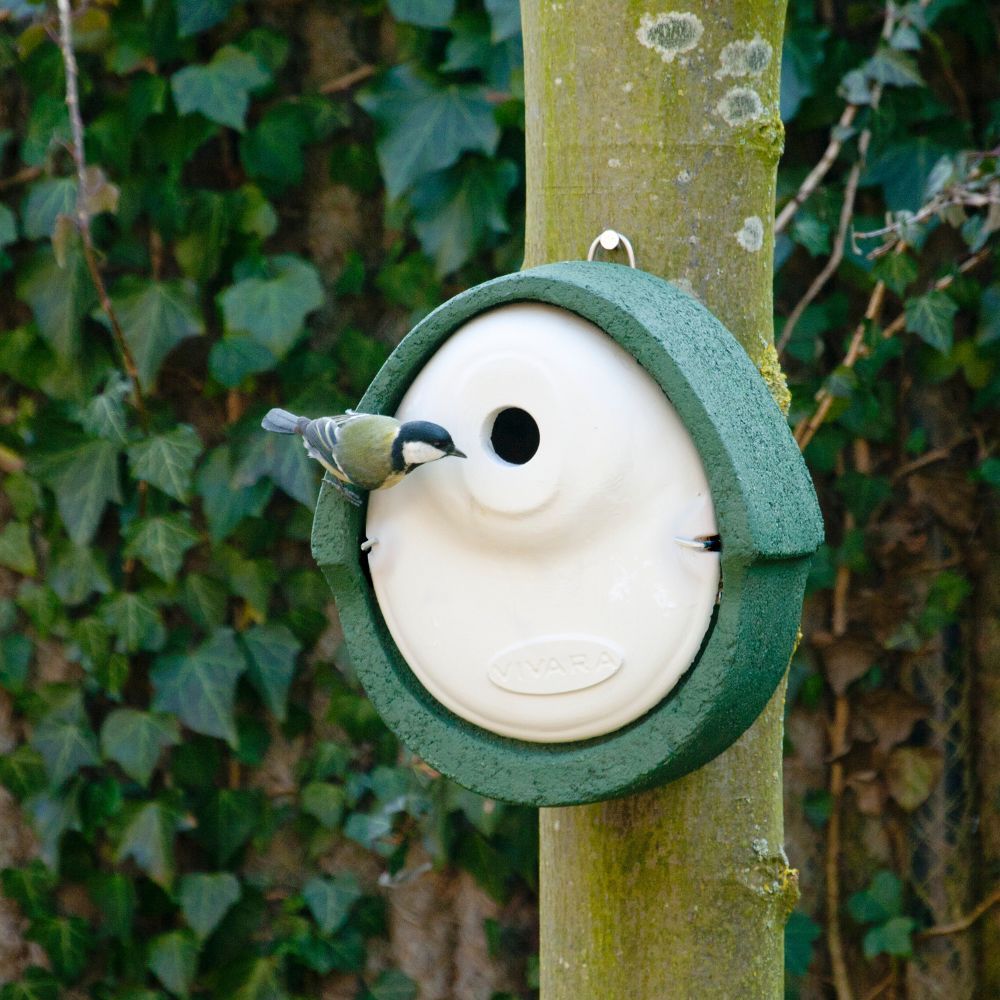 Vogelhuisjes per specifieke vogelsoort