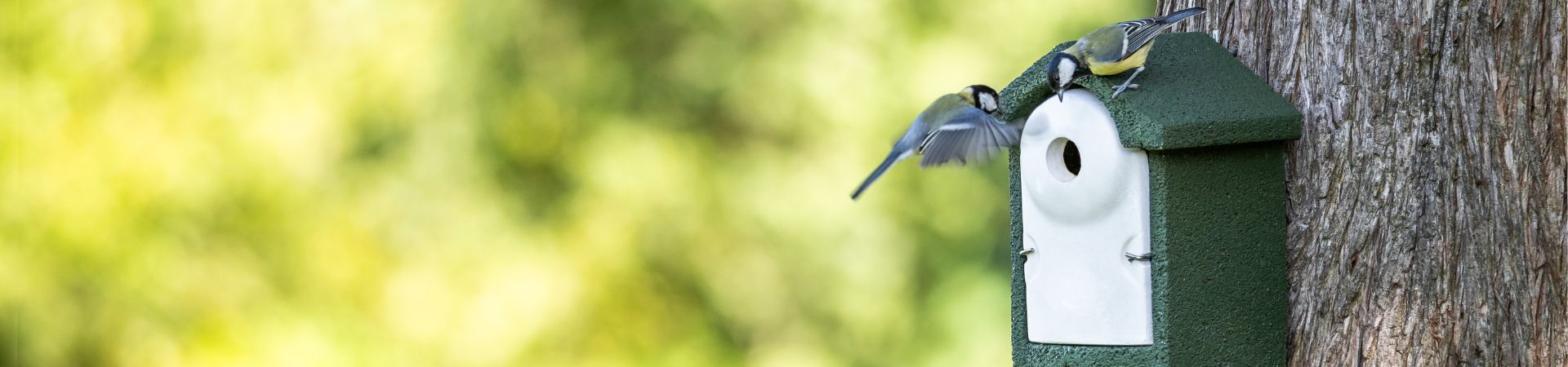 woodstone_nest_boxes - 1