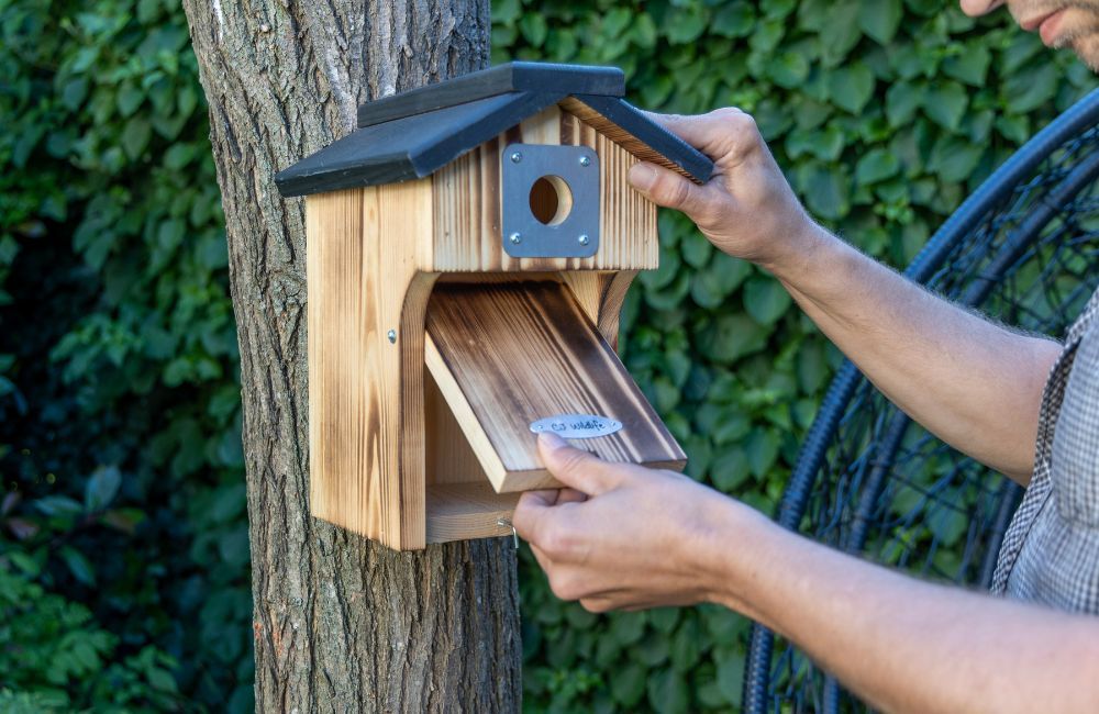 protector_nest_box_range - 1