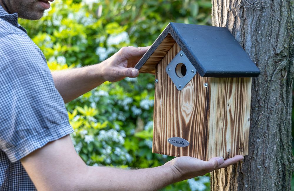 protector_nest_box_range - 1