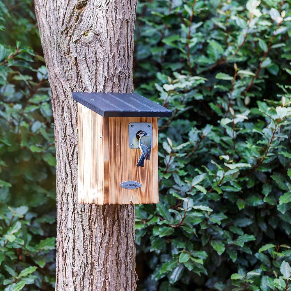 909840120_CJ_Beaumont_909840119_CJ_Arlington_Nest_Box_28mm_RK_16