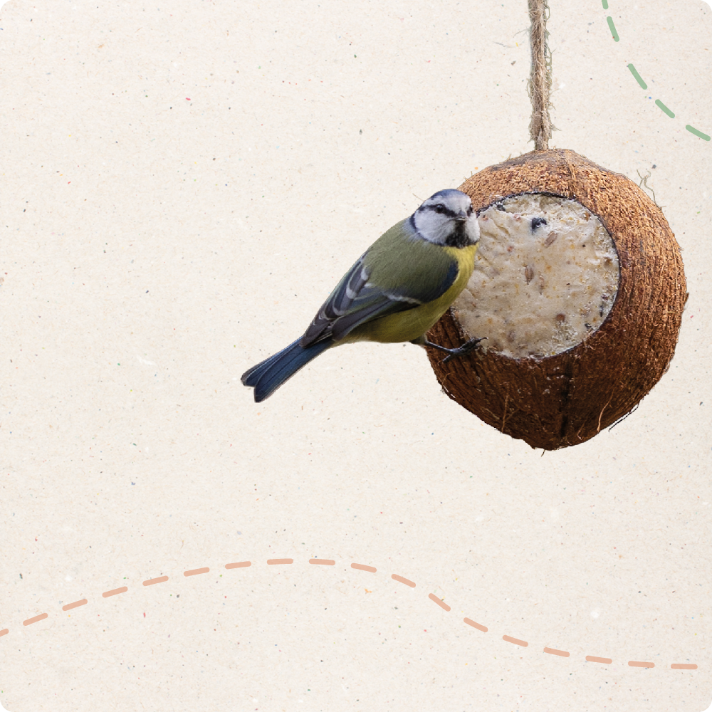 CD-2202_-_Imagery_about_us_page_Small_category_banner_1