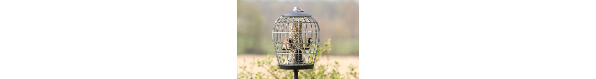 Apollo feeder with protective cage - only small garden birds can access the food