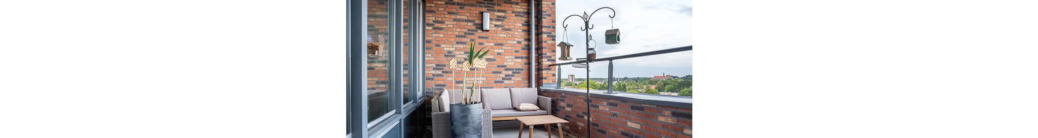 Bird_Feeding_on_Balcony_mob