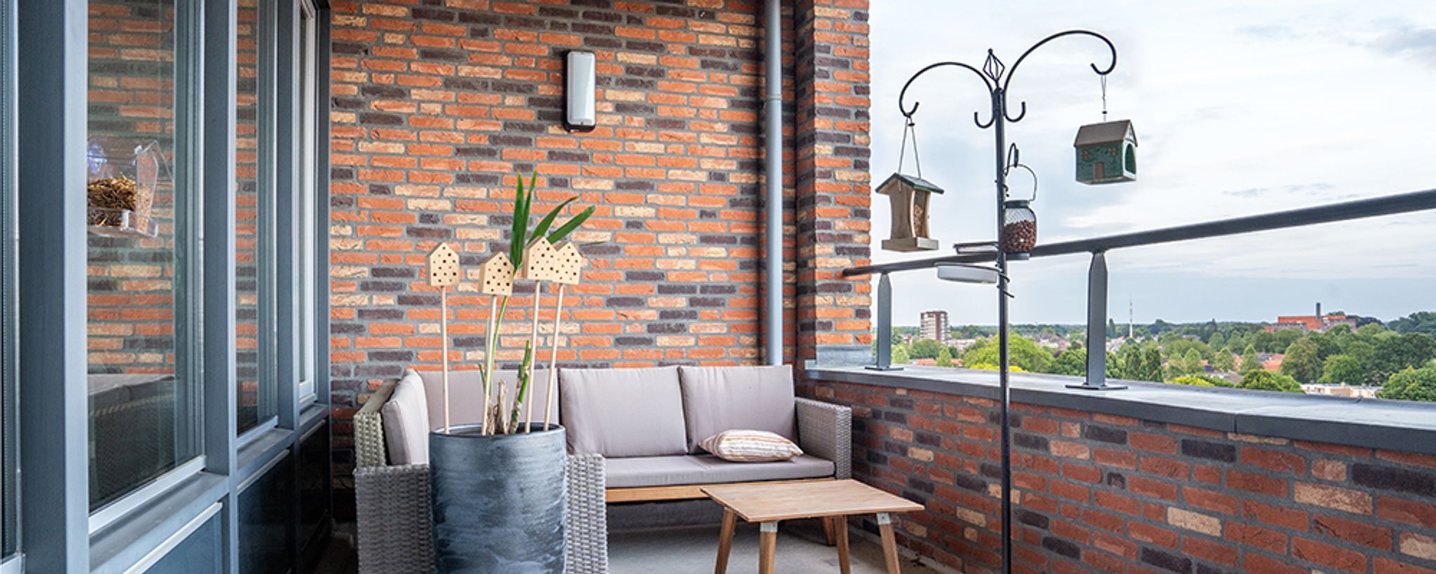 Bird_Feeding_on_Balcony_mob