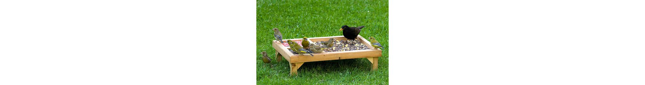 Ein Futtertisch aus Holz, der bei Bodenfressern, wie dem Rotkehlchen oder der Amsel, sehr beliebt ist.