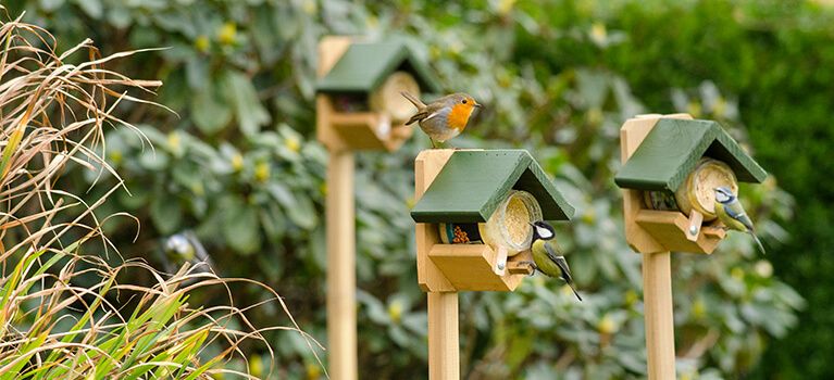 Drei Futterhäuser aus Holz für Vogel-Erdnussbutter
