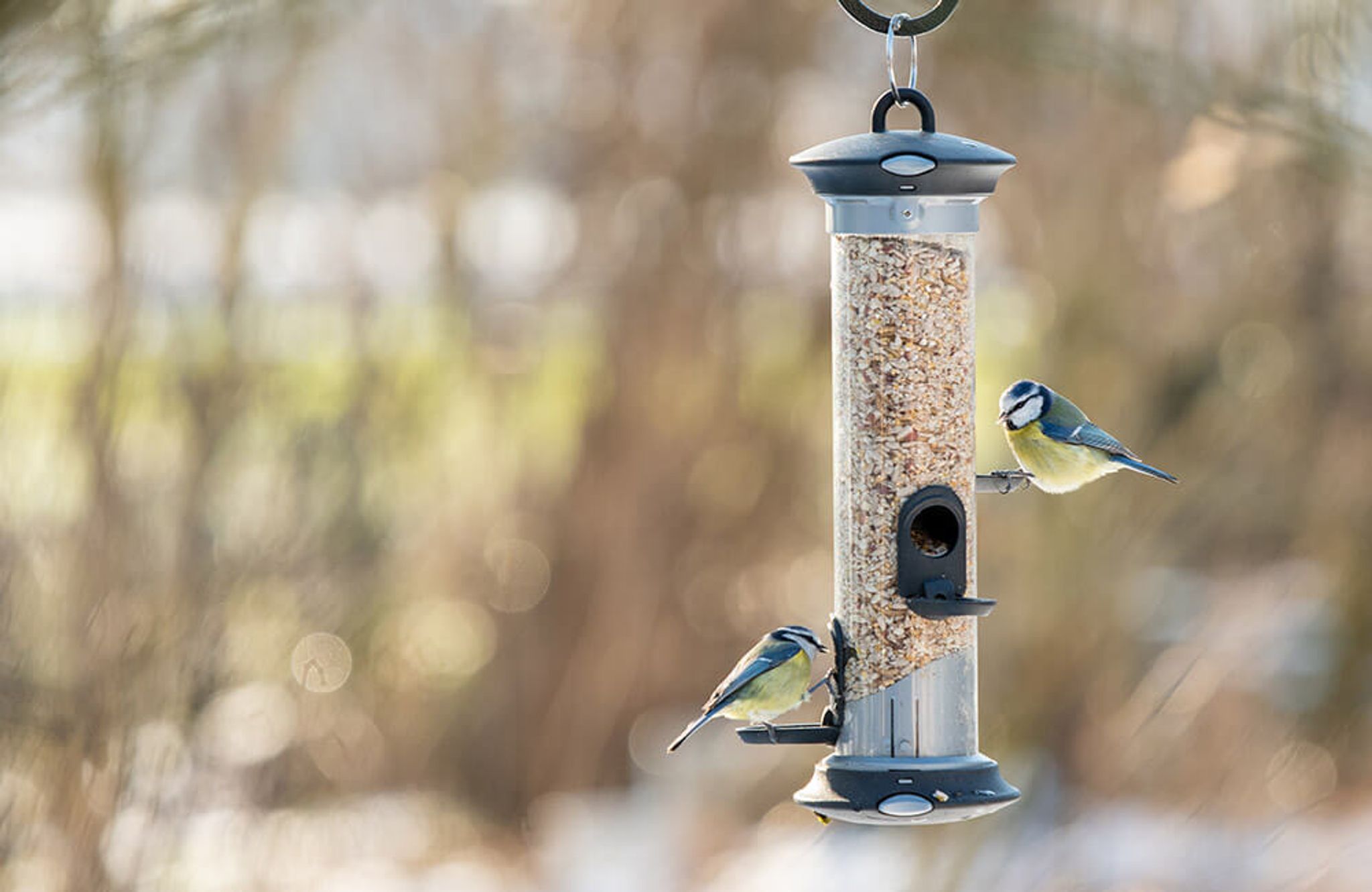 Eine moderne Samen-Futtersäule, die das Körnerfutter vor Feuchtigkeit schützt und hygienisch zu befüllen ist.