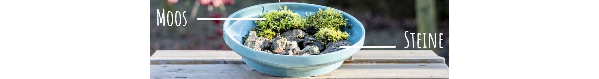 DIY Insektentränke aus einer Vogeltränke gestalten