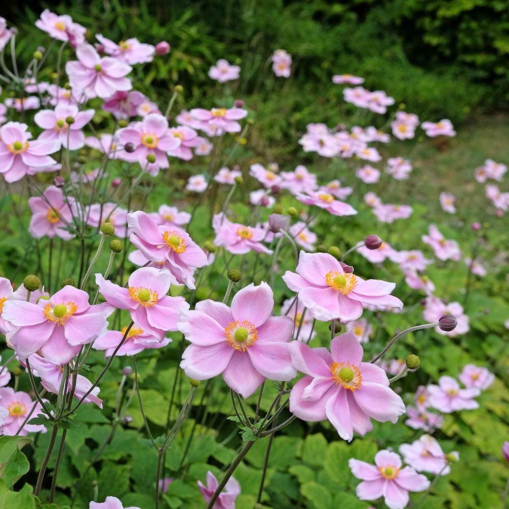 2364557819