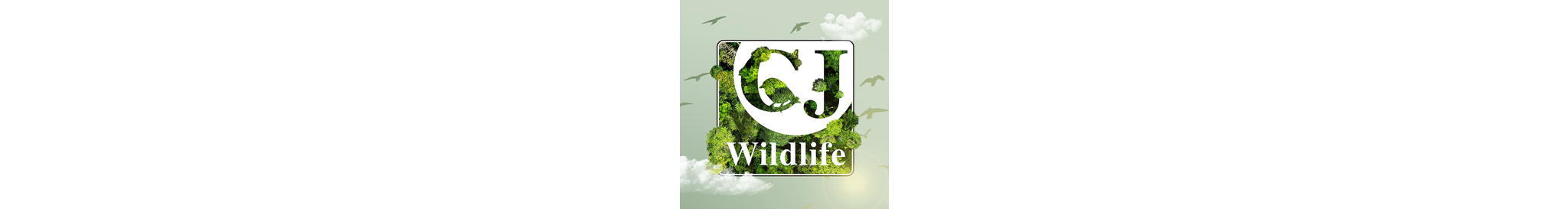 mobile_banner_earth_CJ