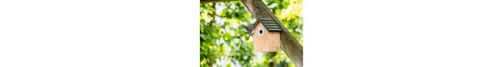 Eine Kohlmeise fliegt auf einen Holz-Nistkasten zu.