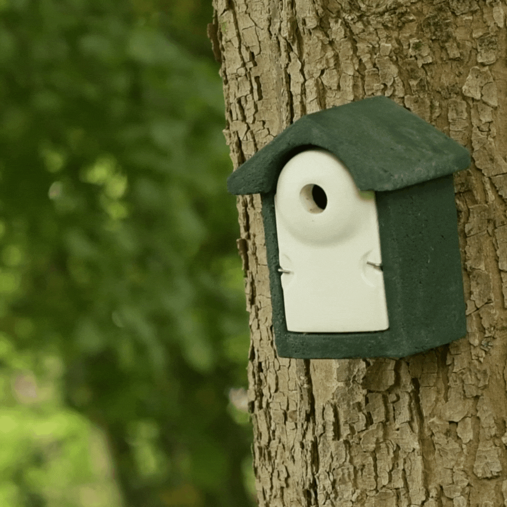 Species nest boxes