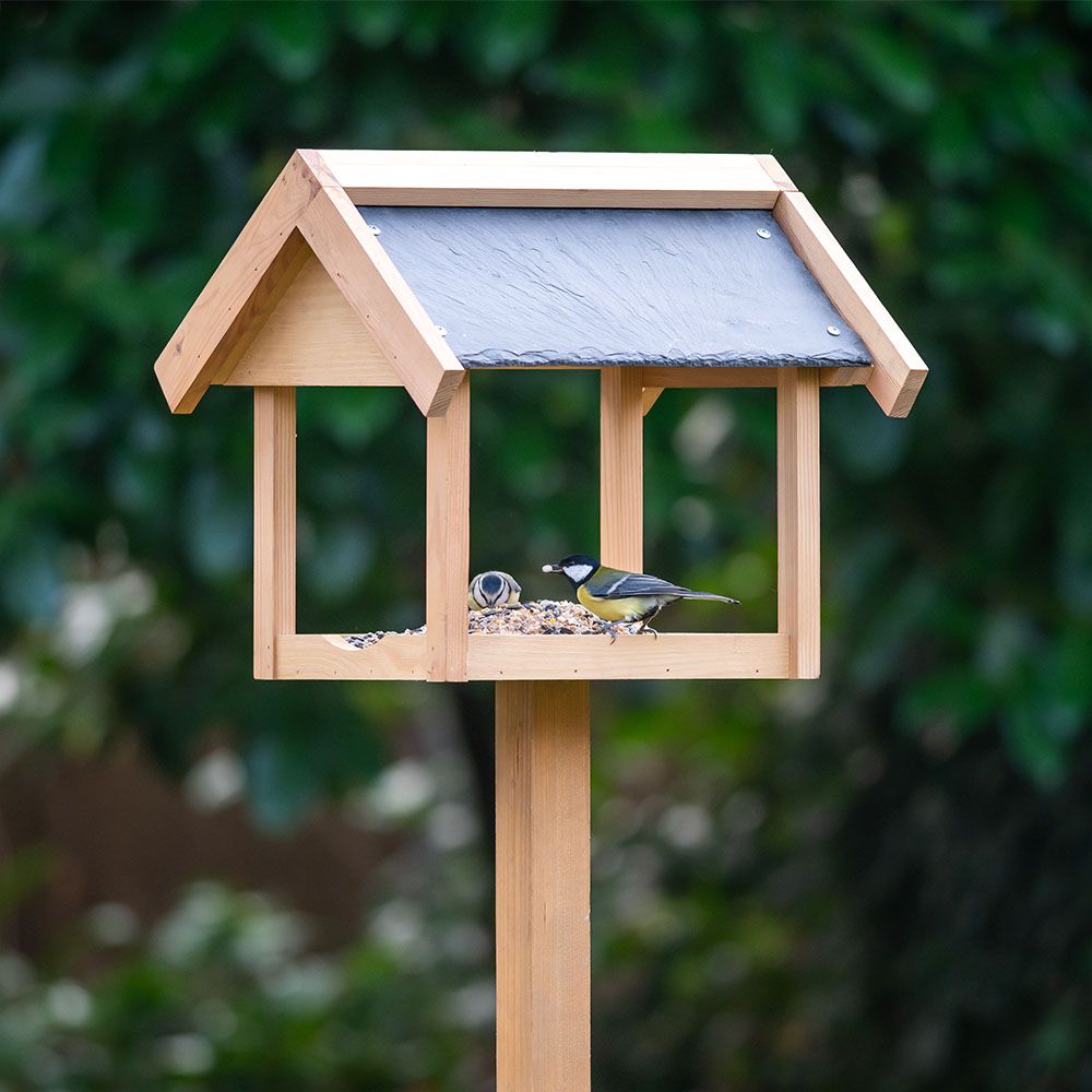 300140119-Slate_Roof_Feeder-SW-Sem-Low-Res-8006