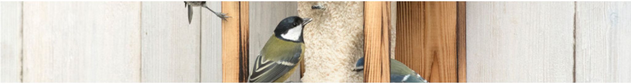 Pindacake voor tuinvogels