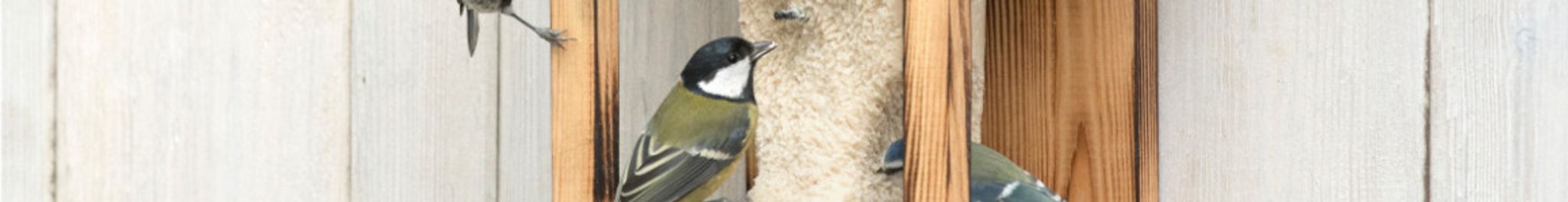 Pindacake voor tuinvogels