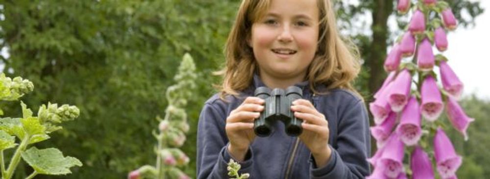 Kind bastelt an einem Futterhaus aus Holz