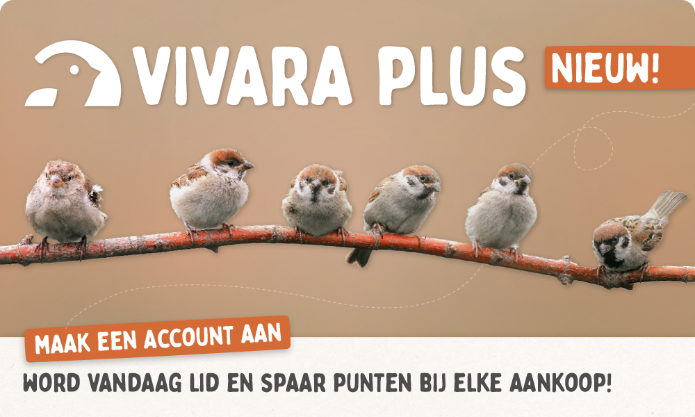 CD-2257_-_Loyalty_Program_-_Home_Page_Banners_NL_Homepage_Mobile_1