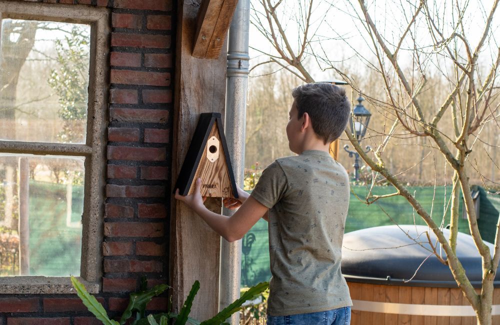 Hanging up a nest box