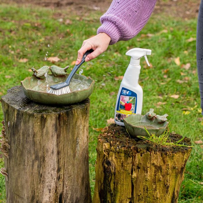 Clean your bird baths