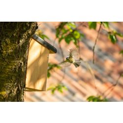 nieuwsbrief_inschrijven